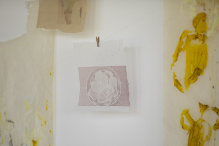 Installation of joint work with Natalie Koski - prints and drawings on baking paper, 2022